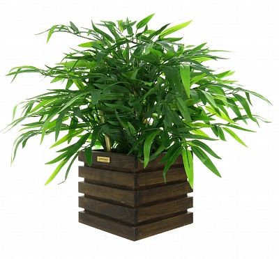 Bamboo Toman cachepot Dekollete Bandas 20