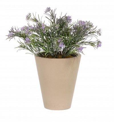 Heather Migo Dekollete concrete 17 planter