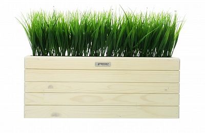 Phyto-stand Frontera 50*20 sedge Bani