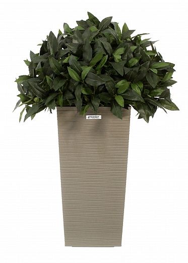 Laurel Corum Cachepot Dekollete Kuno 46 Eco