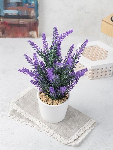 Lavender Sirt cachepot Dekollete Piccolo 8