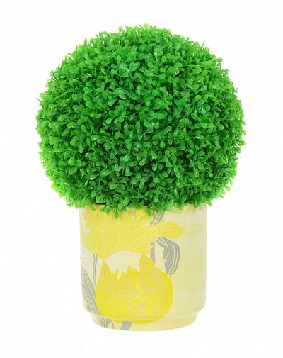 Boxwood Isleland Ball Composition available to order 1 piece