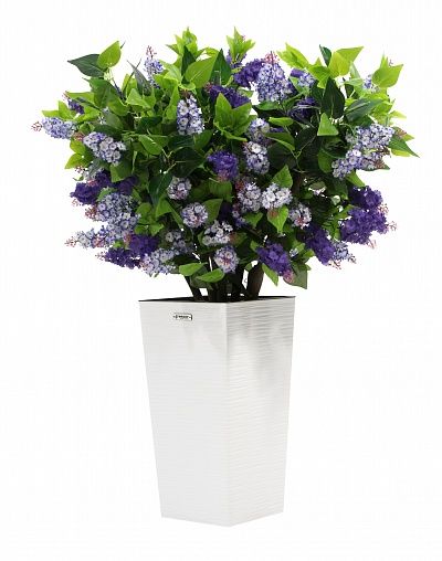 Lilac Chester Mini Cachepot Dekollete Kuno 46