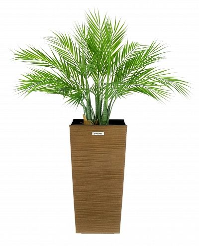 Palm Pichino Fitta Cachepot Dekollete Kuno 46 Eco