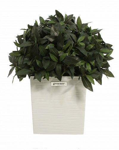 Laurel Corum cachepot Dekollete Clasico 30