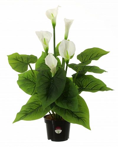 Calla Fevron cachepot