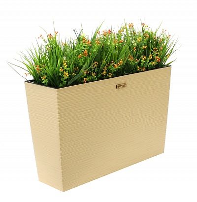 Dali sedge Dekollete 36