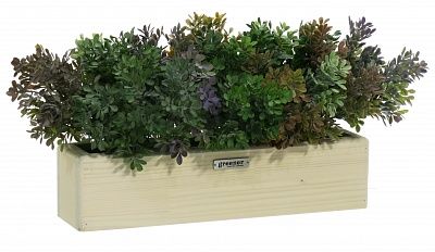 Frontera Liso 40*10 boxwood Nira