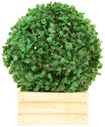 Boxwood Beni Cachepot Dekollete Tuni W15