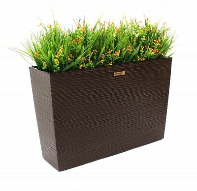 Dali sedge Dekollete 36