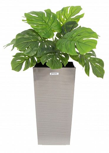 Monstera Moran Duo Cachepot Dekollete Kuno 46 Eco