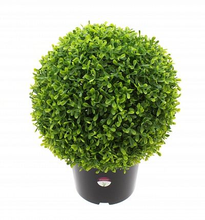 Boxwood Ball Wende mini