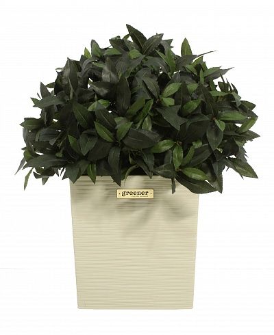 Laurel Corum cachepot Dekollete Clasico 30