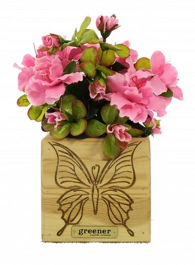 Composition azalea Toledo cachepot Dekollete Wood 12 available to order 1 piece