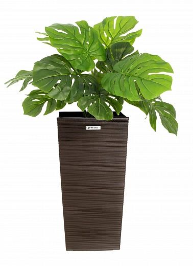 Monstera Moran Duo Cachepot Dekollete Kuno 46 Eco