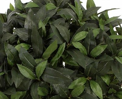 Laurel Corum Cachepot Dekollete Clasico 30 Eco