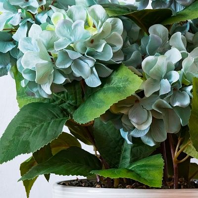 Hydrangea Retro Lazy Cachepot Dekollete