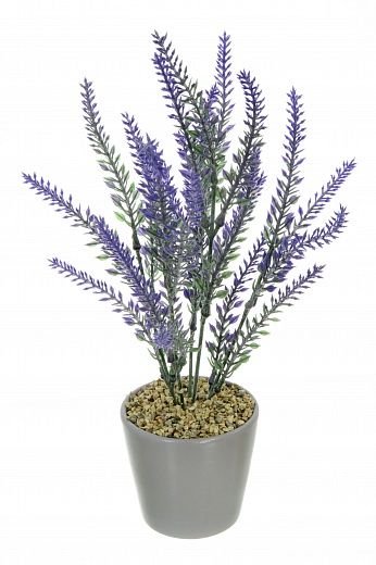 Lavender Sirt cachepot Dekollete Piccolo 8