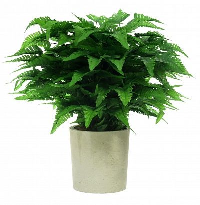 Fern Barvi cachepot Dekollete Concrete 19