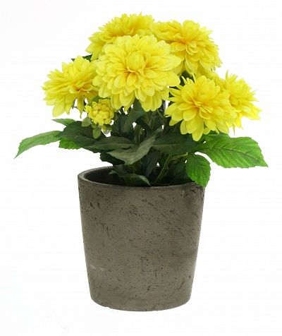 Dahlia Leo cachepot Dekollete Concrete 17