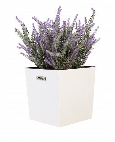 Lavender Sirt cachepot Dekollete Clasico 19