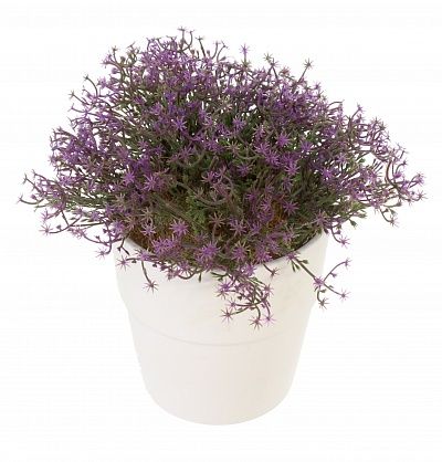 Moss Violet cachepot Dekollete Bort mini