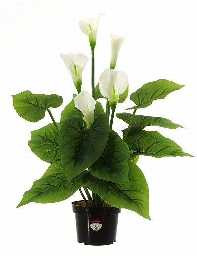 Calla Fevron cachepot