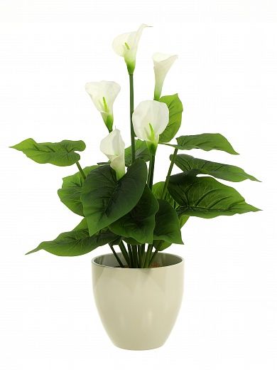 Calla Fevron cachepot