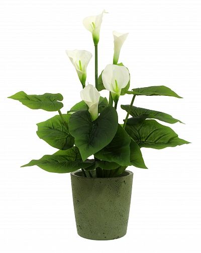 Calla Fevron cachepot Dekollete Concrete 17