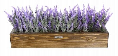 Lavender Sirt Wood 60