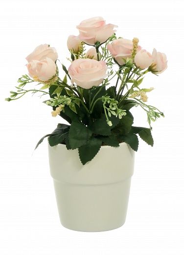 Rose Retro Planter Dekollete 12