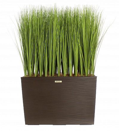 Sedge Angora cachepot Dekollete 36