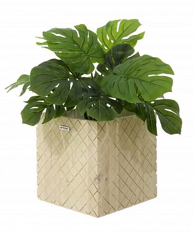 Monstera Moran Duo Cachepot Dekollete Gurido 20 color