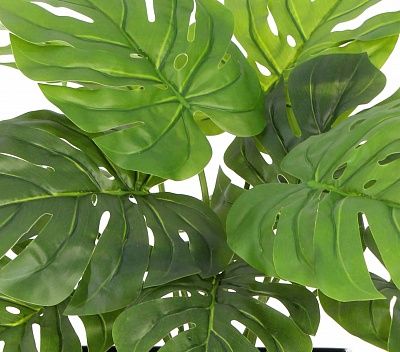 Monstera Moran Duo Cachepot Dekollete Kuno 46 Eco