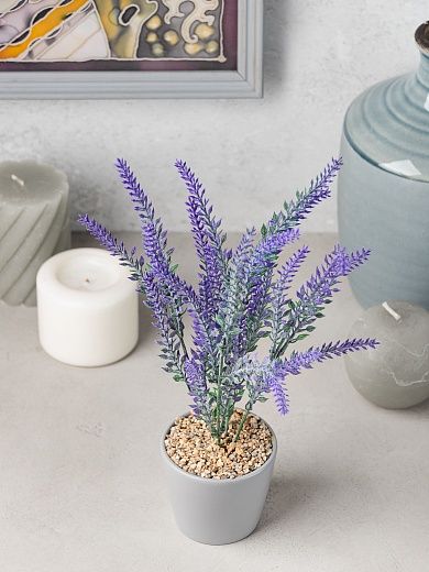 Lavender Sirt cachepot Dekollete Piccolo 8