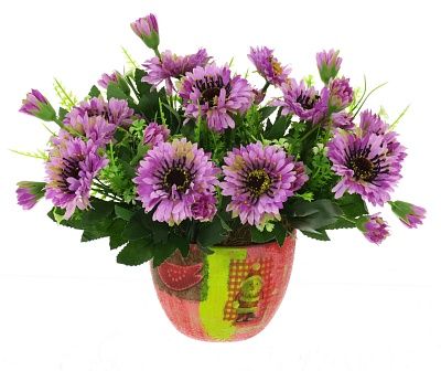 Chrysanthemum Fayum available to order 4 pieces