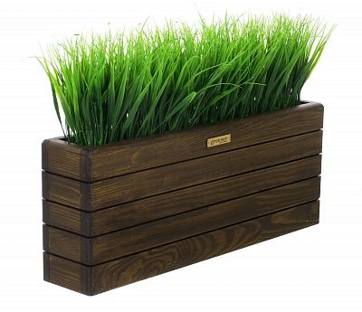 Phyto-stand Frontera 50*20 sedge Bani