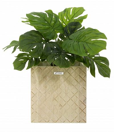 Monstera Moran Duo Cachepot Dekollete Gurido 20 color