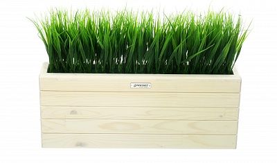 Phyto-stand Frontera 50*20 sedge Bani