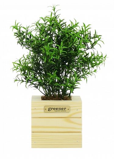 Rosemary Ferko Dekollete Cube 10 planter