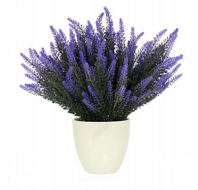 Lavender Cietta Cachepot Dekollete 12