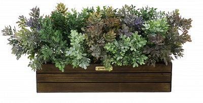 Frontera 40*10 boxwood Nira