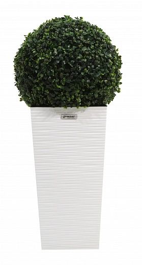 Orb Boxwood Camos Cachepot Dekollete Kuno 46