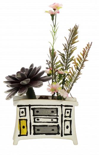 Children's dresser succulent mix available to order 6 pieces