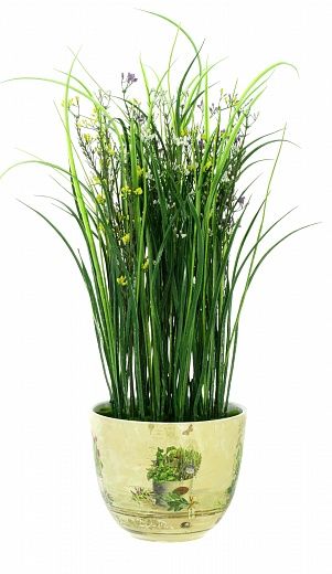 Composition Gypsophila Bilbao Dekollete planter 22 available to order 1 piece