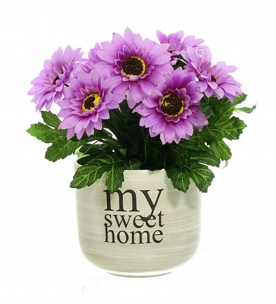 Gerbera Laura cachepot Dekollete 12 available to order 6 pieces