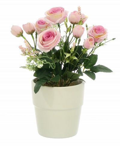 Rose Retro Planter Dekollete 12