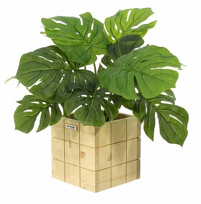 Monstera Moran Duo cachepot Dekollete Chess 20 color