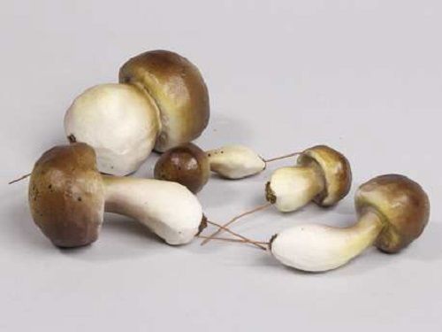 Green assorted mushrooms 10 pcs on wire