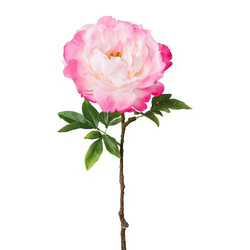 Peony H66 cm pink